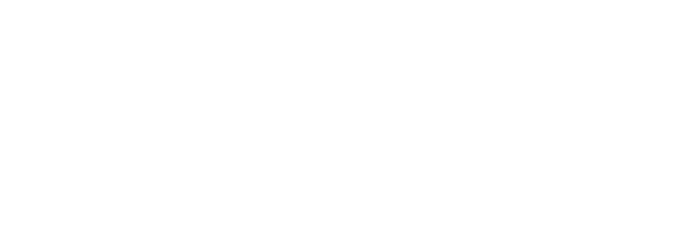 INTER logo